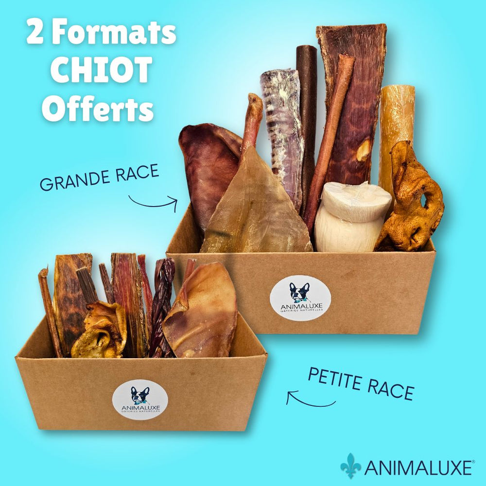 Boîtes de mastication naturelle pour chiots Animaluxe, offertes en deux formats : petite et grande race