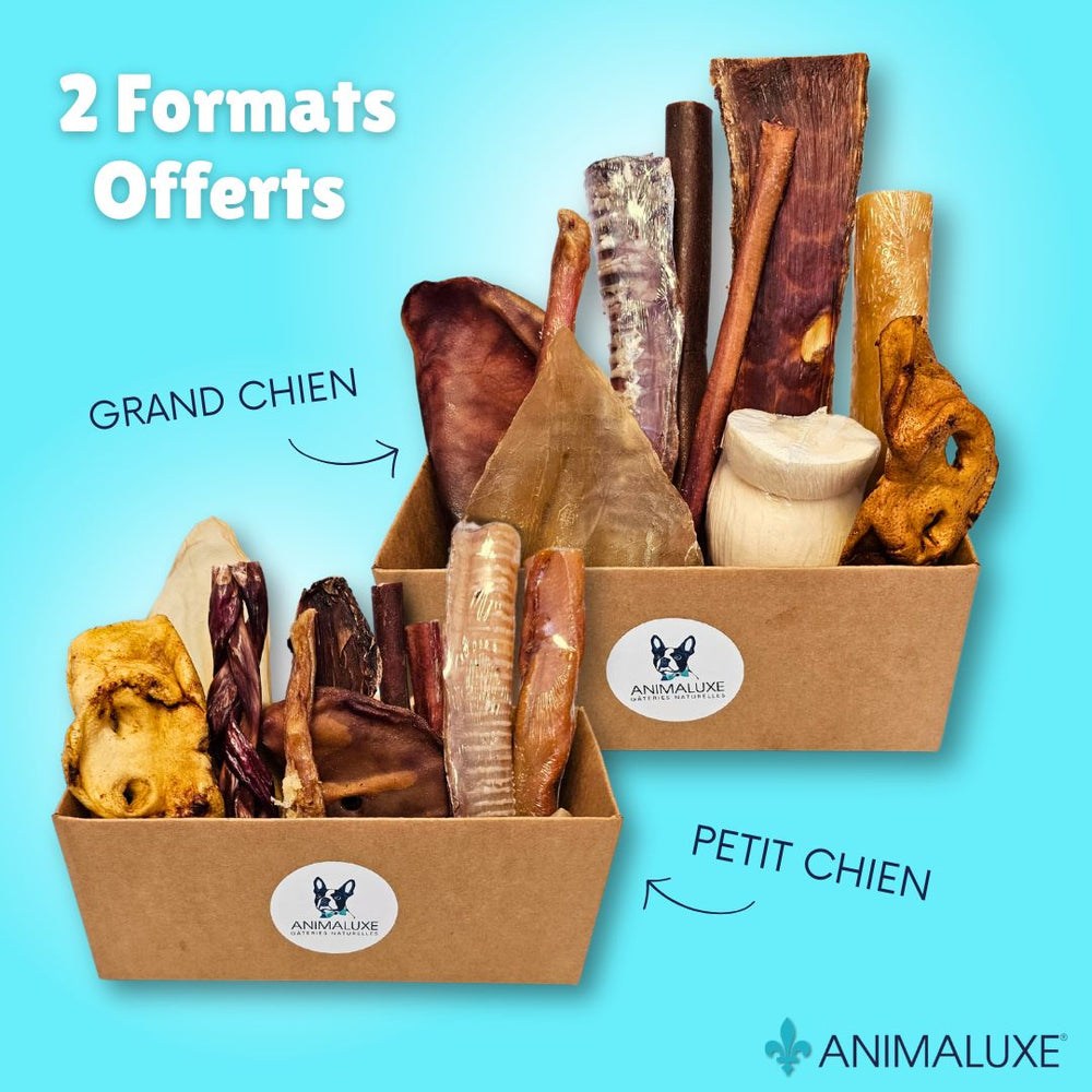 Boîtes Découverte Animaluxe pour chien, disponibles en deux formats adaptés : petit et grand chien