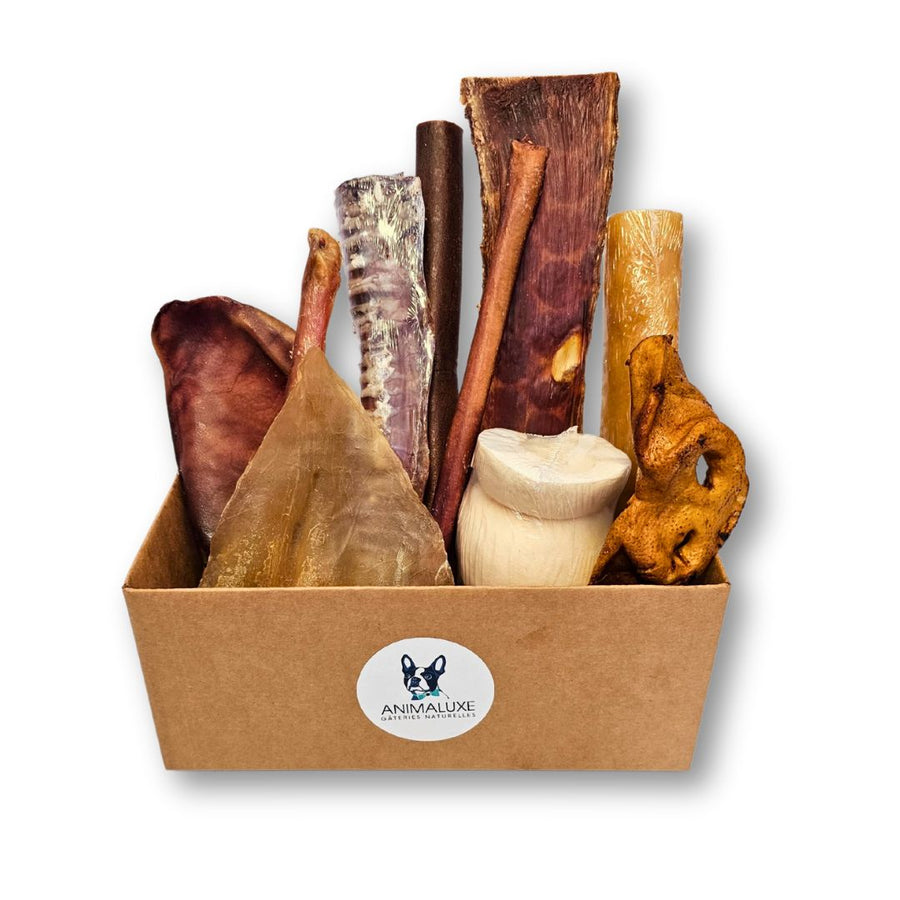 Boîte Découverte de mastication naturelle pour chien, contenant une variété de gâteries 100 % naturelles – Animaluxe