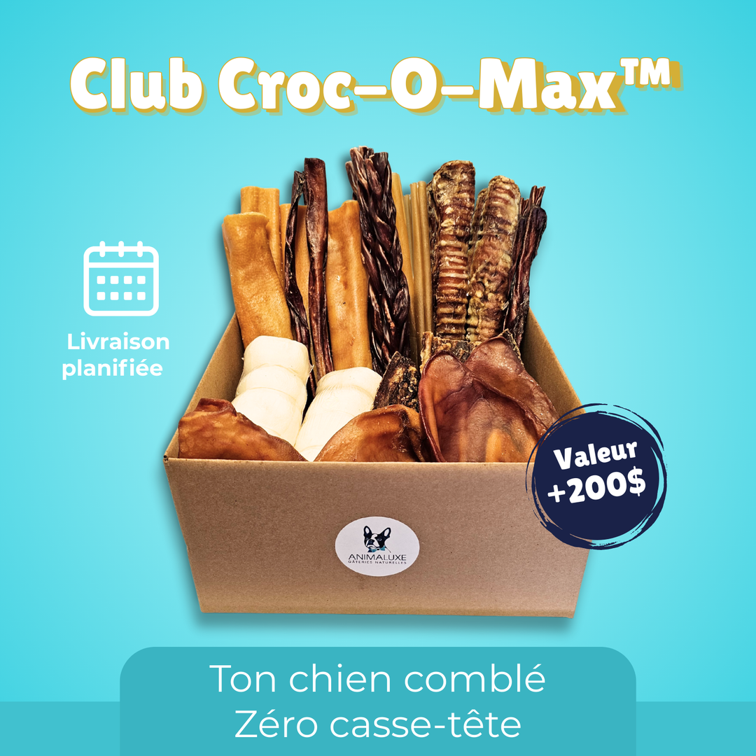 Boite de mastication - Croc-O-max ™ Grand chien