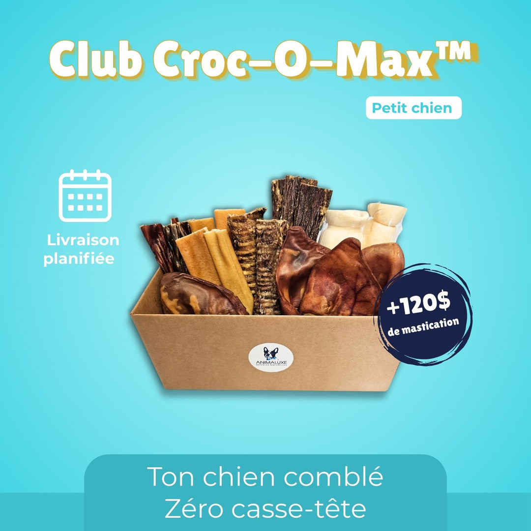 Boite mastication Croc-O-max ™ Petit chien