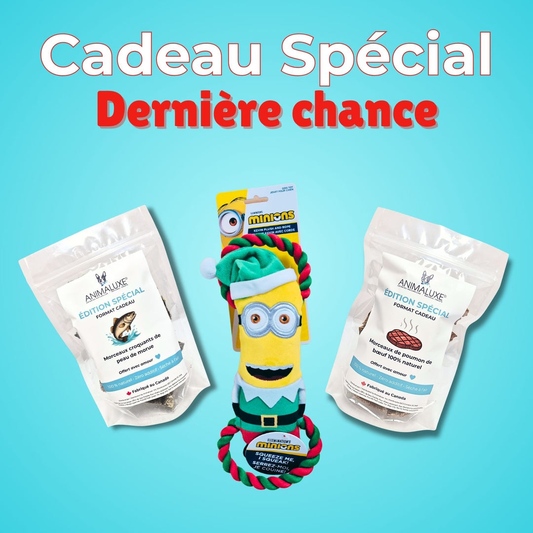 Cadeau spécial - Boxing day