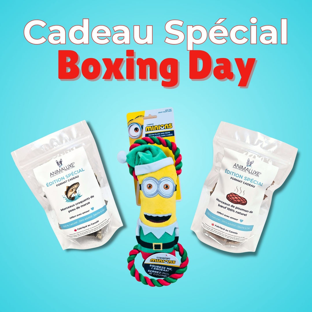 Cadeau spécial - Boxing day
