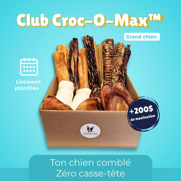 Boite de mastication - Croc-O-max ™ Grand chien
