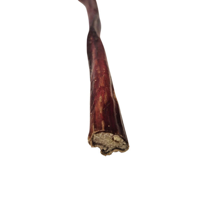 Écono-Kit - Pizzle de bœuf 12'' naturel pour chien