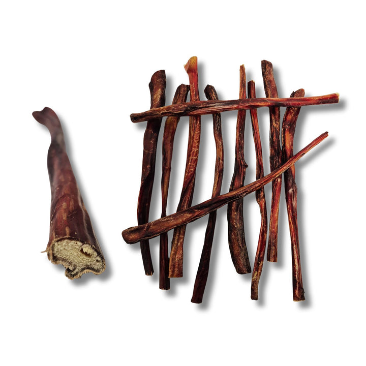 Écono-Kit - Pizzle de bœuf 12'' naturel pour chien