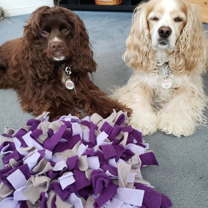 deux chiens avec leur tapis de fouille 