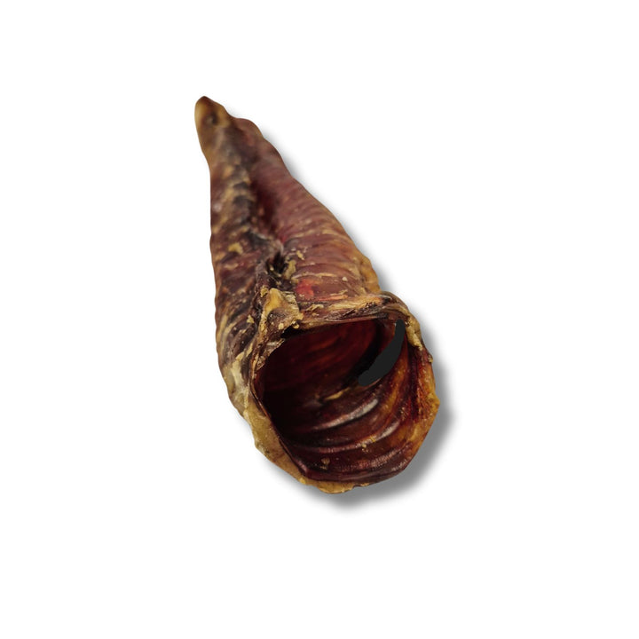 Écono-kit - Trachées de bœuf 12'' naturelles pour chien