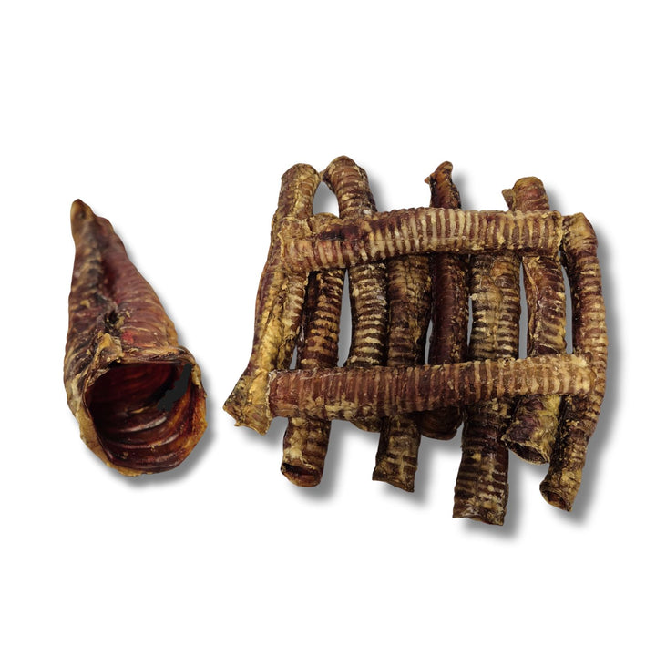 Écono-kit - Trachées de bœuf 12'' naturelles pour chien