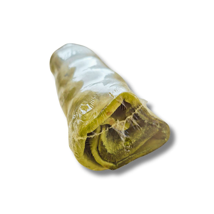 Cheeky roll 10'' à la menthe
