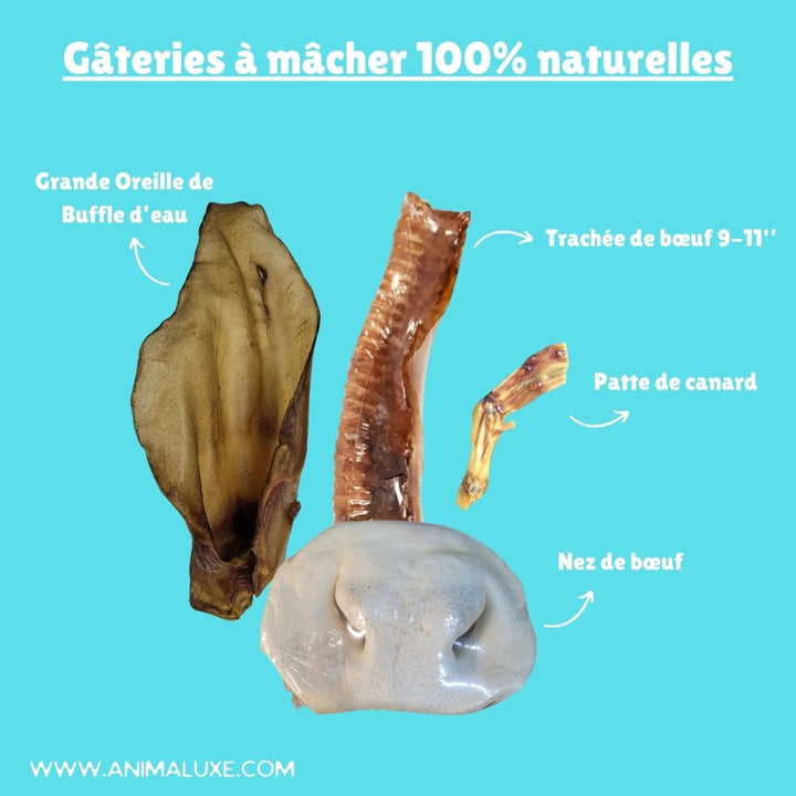 Quatre gâteries à mâcher naturelles : oreille de buffle, trachée de bœuf, patte de canard, et nez de bœuf du Combo Halloween d'Animaluxe.