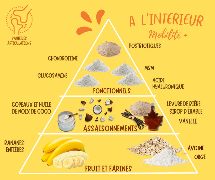 Gâteries d'entrainement - Bananes et noix de coco + mobilité 170g