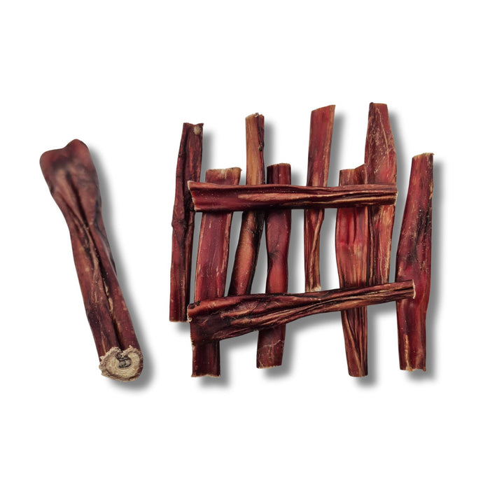 Écono-Kit - Pizzle de bœuf 6'' naturel pour chien