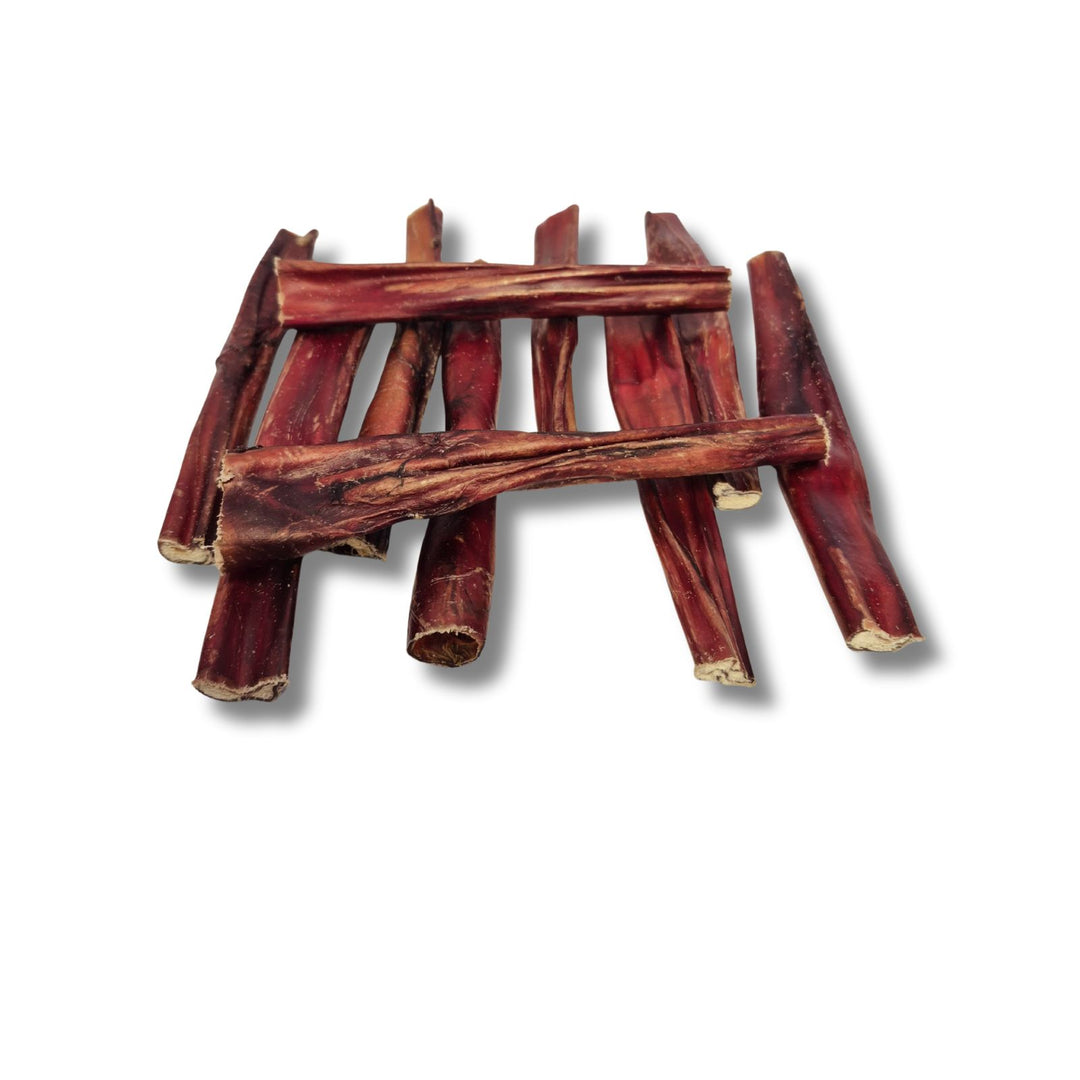 Écono-Kit - Pizzle de bœuf 6'' naturel pour chien
