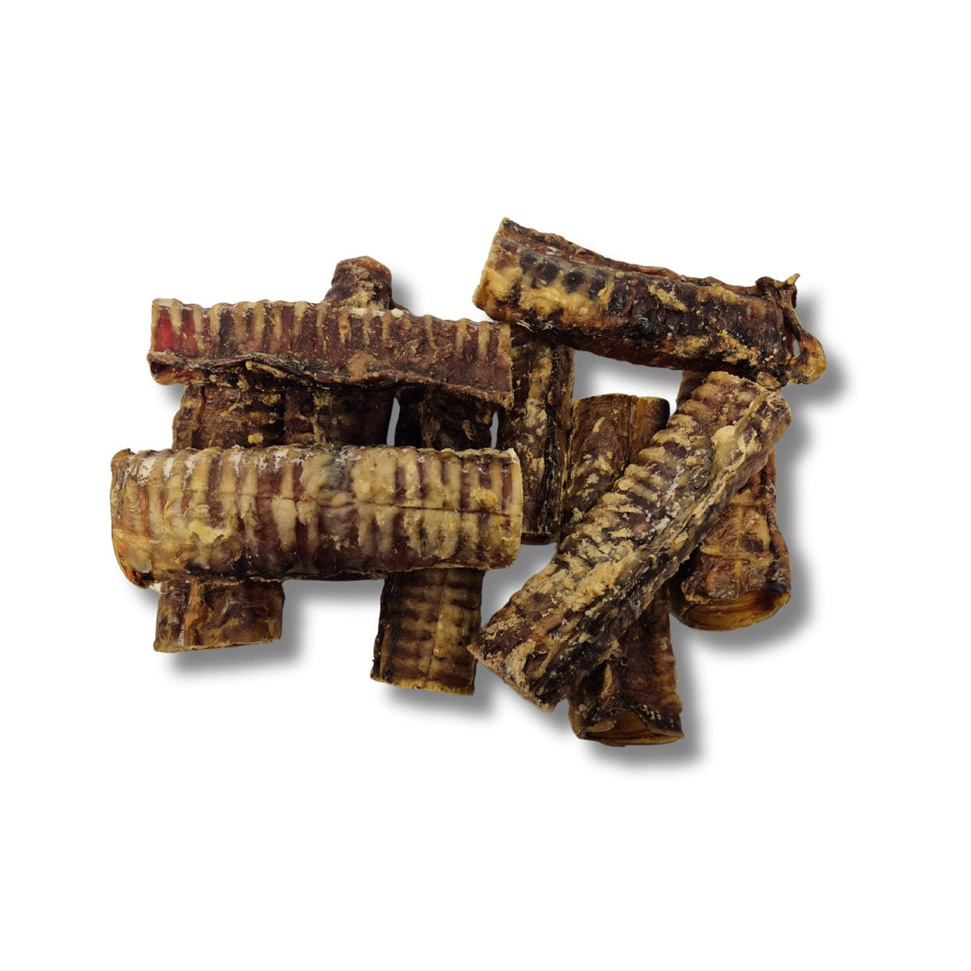 Écono-kit - Trachée de bœuf 6’’ naturelle pour chien