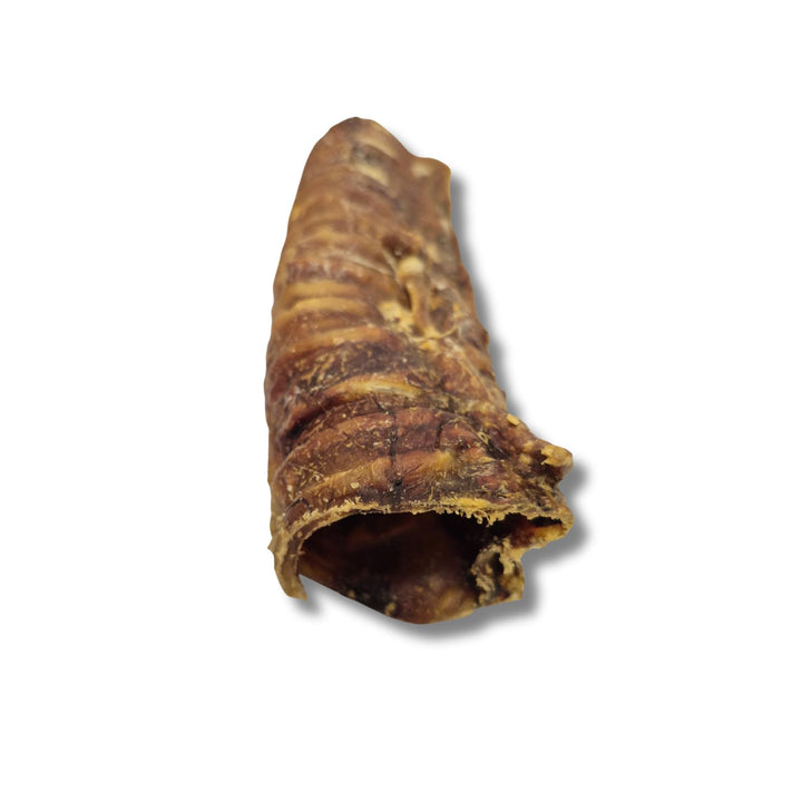 Écono-kit - Trachée de bœuf 6’’ naturelle pour chien