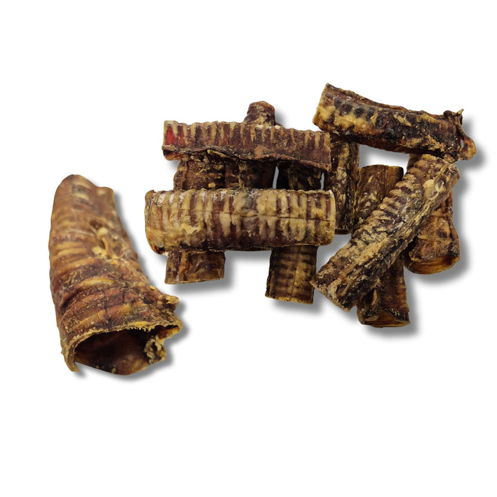 Écono-kit - Trachée de bœuf 6’’ naturelle pour chien
