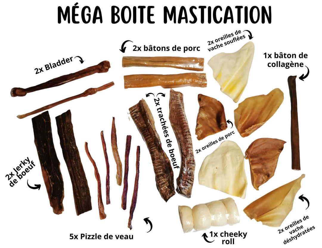 Méga boite mastication 100% naturelle